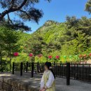스테이보름 | 양주 회암사 템플스테이 후기(행복두배 템플스테이)