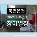별장여관 | 북면온천 때밀이침대있는 장미별장 솔직후기