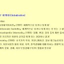(주)신시대글로벌 | 세계화와 이슬람, 그리고 문명충돌