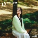Love Fool (사랑의 바보) / 제이세라(J-CERA ) 이미지
