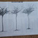 수채화로 만나는 일상 스케치 이미지