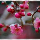 작은행복 이미지