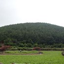 달리오름 이미지