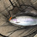 활주로낚시터 이미지