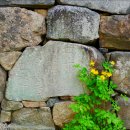 면천보건지소 이미지