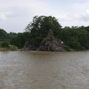 문경참미나리 미돈가 이미지