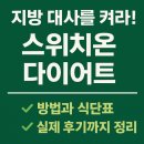 대사로 | 지방 대사를 켜라! 스위치온 다이어트 방법, 식단표, 후기까지 완벽 정리