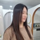 노스헤어 이미지