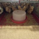 벧엘농장3 이미지