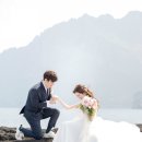 플라워에이스 이미지