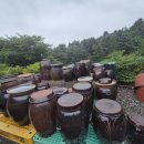 다은이네 민박 이미지