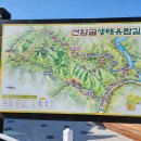 제357차 단양 두악산 산행(24.05.26) 이미지