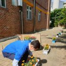 대구교동초등학교 이미지