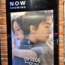 화중로104번길 | [화정CGV] 만약에 우리 눈물주의 멜로 영화 관람후기