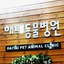 해태동물병원 이미지