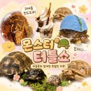 터틀랩 | 인천박람회 몬스터터틀쇼x렙타일페어 (with 랩아카데미)｜아이와 가기 좋은 초대형 거북이, 천만원...