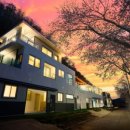 키즈팬더 이미지