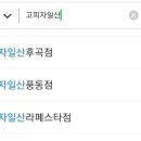 고피자일산후곡점 네이버블로그