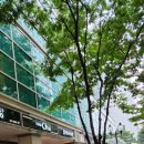 (주)타워차이 이미지