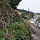 수경민박 이미지