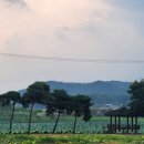 갤러리하루농장 이미지