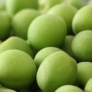 순창토종매실 이미지