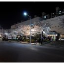 덕진구청 이미지