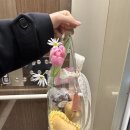 오늘다믄 이미지