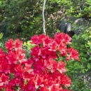 성주사 회귀형 숲길 이미지