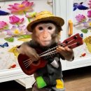 딩가딩가 이미지