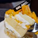 엠엘엠씨(MLMC) 이미지
