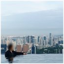 알리 스위트호텔 | 싱가폴 마리나베이샌즈 호텔 프레지덴셜 스위트 숙박 후기 룸 업그레이드