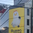 전포루마 | 부산 여행 다니는 게스트하우스 스텝의 일상(+가성비 숙소 추천)