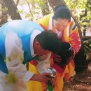 정발산 도당굿 이미지