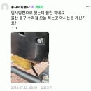 근남모터샵 | 엘로이 팬덤125 1000km 후기울산 완전초보 라이더