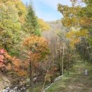 마암터마을 이미지