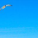 비치웨이 이미지