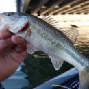 낙동강약국 이미지