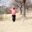 주식회사 하이독 이미지