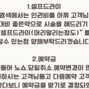 양덕동100 이미지