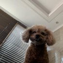 유성튼튼동물병원 이미지