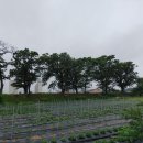 상주 조공제 이미지