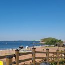 서해바다 이미지