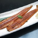 힘센장어구이 Daum카페