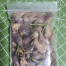 달래파(완료) 이미지