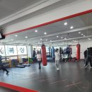 용인대 GX 복싱체육관 이미지