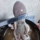 ６６번중매인 이미지