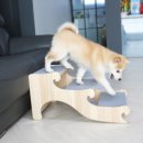 유스토어