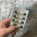 나무아래분식 | [일상] 연휴의 마지막 동대문 먹부림 후기①... 대전곱창/아베베 베이커리/진짜해장국/자매분식