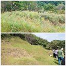 매봉힐링쉼터오토캠핑장 이미지